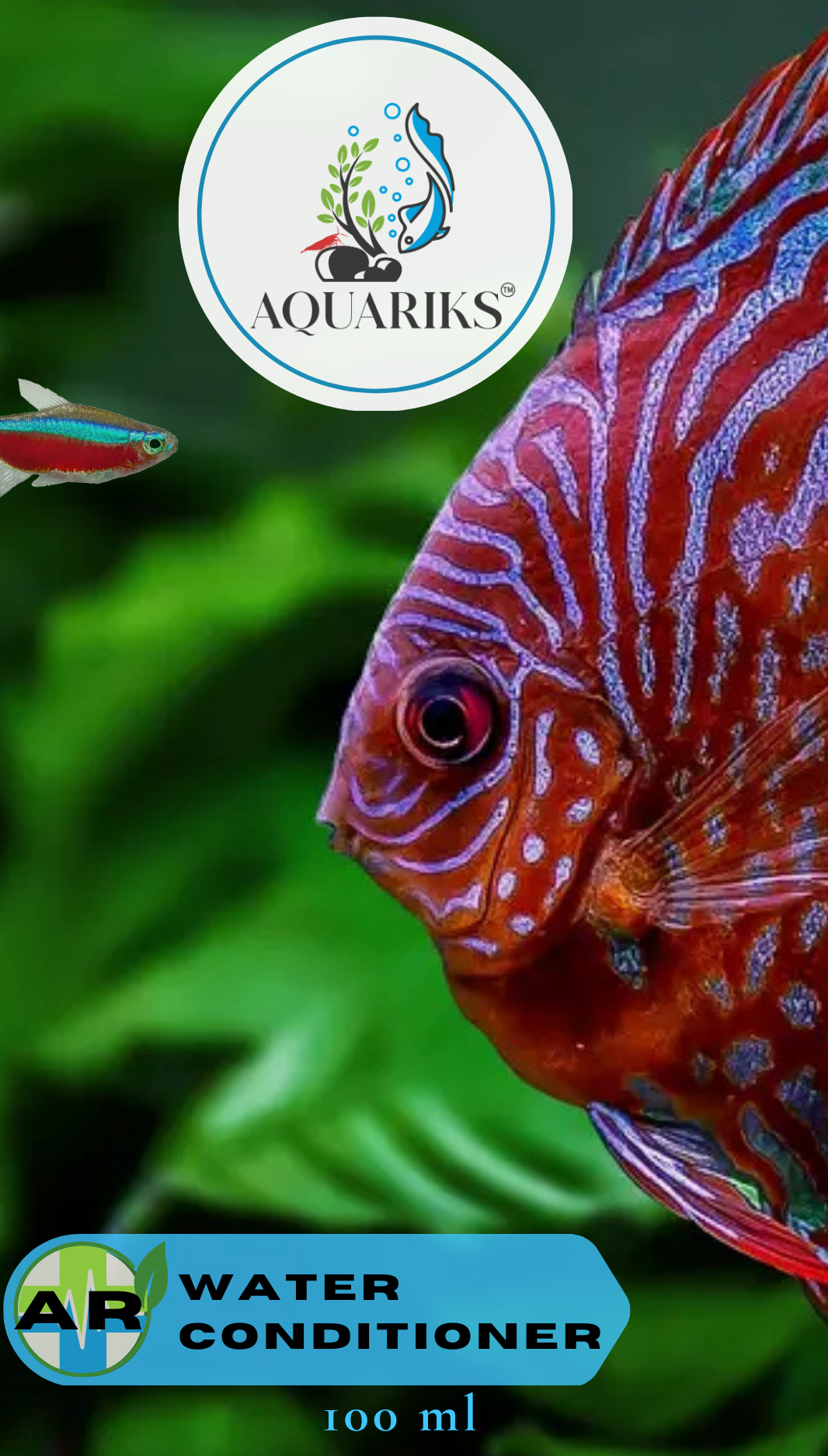 AQUARIKS AR WATER CONDITIONER , FOR AQUARIUM , 100ml