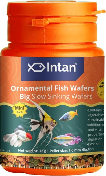 Growel Intan Ornamental Fish Wafers (Big 1.6mm Slow Sinking) | 32gm - Highly Nutritious Ornamental Fish Food for Angels, Gouramis, Goldfish, Barbs & Rainbows