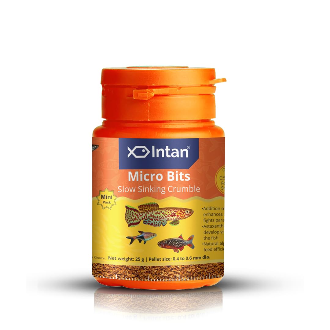 Intan Growel Micro Bits (0.4-0.6Mm Slow Sinking Crumble) | 25Gm - Highly Nutritious Ornamental Fish Food for Small Mouths - Killifish, Tetras, Rasboras & Danios