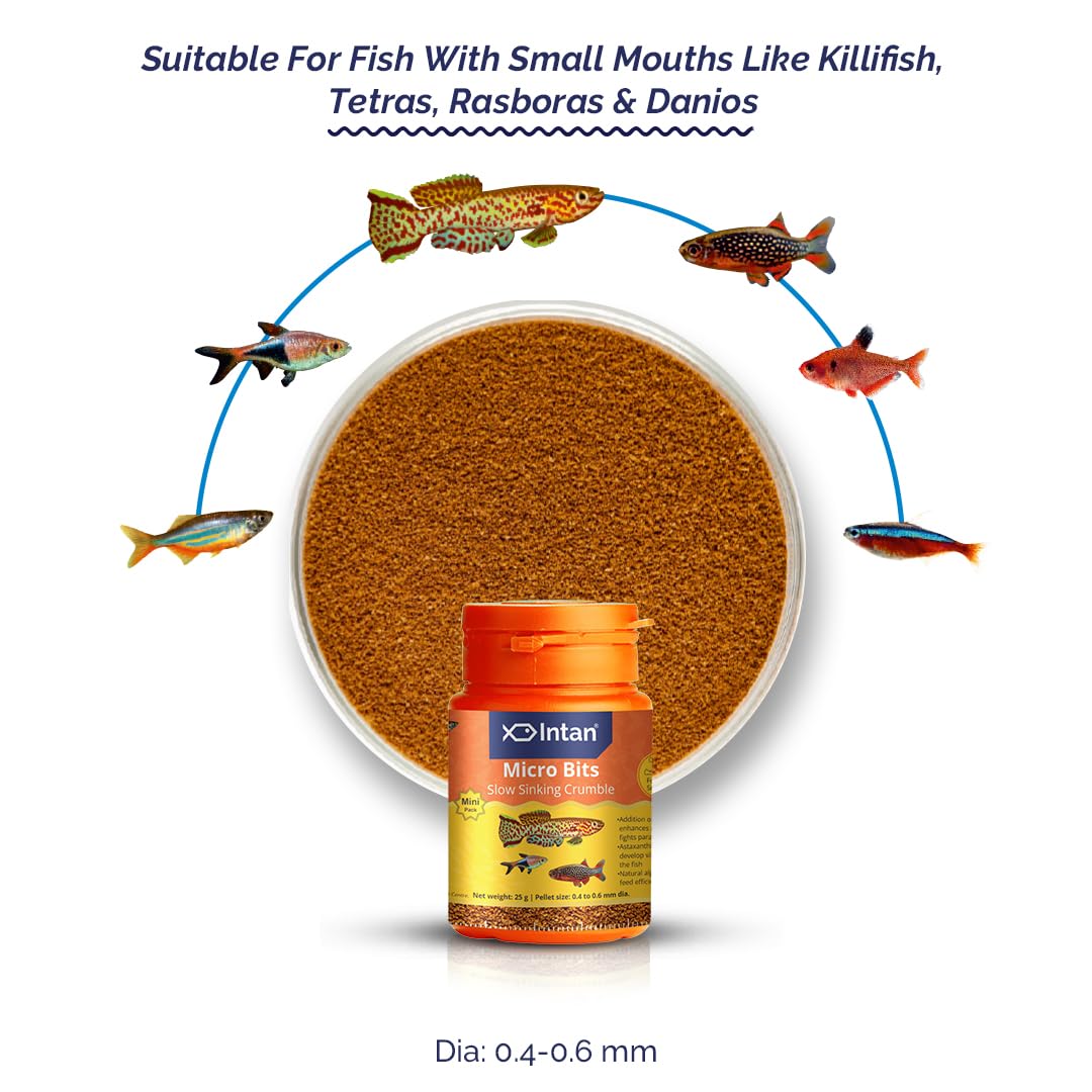 Intan Growel Micro Bits (0.4-0.6Mm Slow Sinking Crumble) | 25Gm - Highly Nutritious Ornamental Fish Food for Small Mouths - Killifish, Tetras, Rasboras & Danios